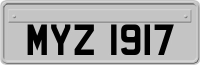 MYZ1917
