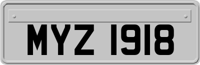 MYZ1918
