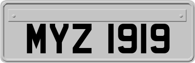MYZ1919