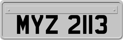 MYZ2113