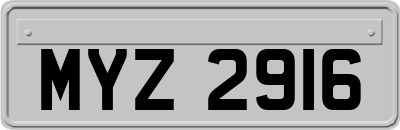 MYZ2916