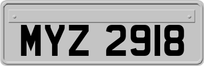 MYZ2918
