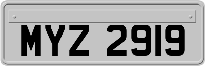 MYZ2919
