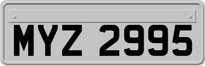 MYZ2995
