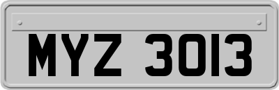 MYZ3013