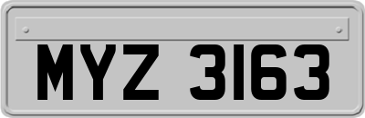 MYZ3163