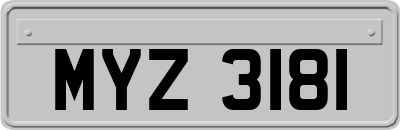 MYZ3181