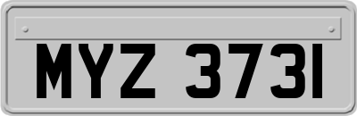 MYZ3731