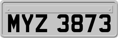MYZ3873