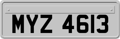 MYZ4613