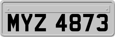 MYZ4873