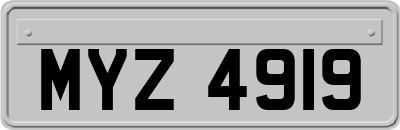 MYZ4919