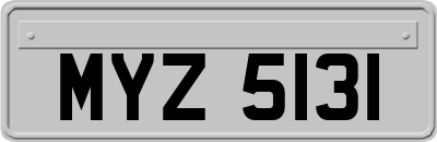 MYZ5131