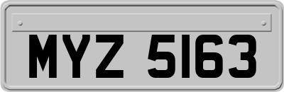 MYZ5163