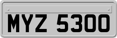 MYZ5300