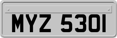 MYZ5301