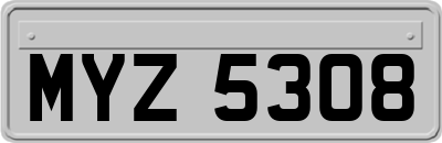 MYZ5308