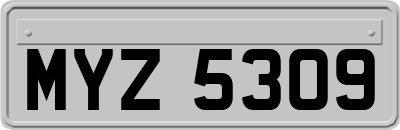 MYZ5309