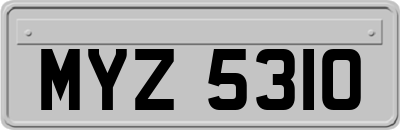 MYZ5310