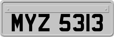 MYZ5313