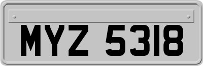 MYZ5318