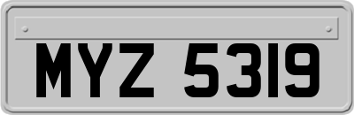 MYZ5319