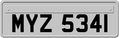 MYZ5341