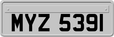 MYZ5391