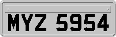 MYZ5954