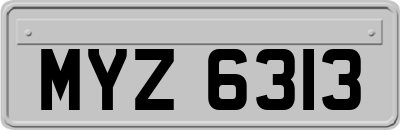MYZ6313