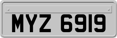 MYZ6919