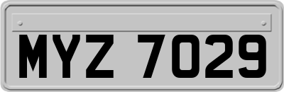 MYZ7029