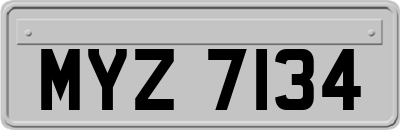 MYZ7134