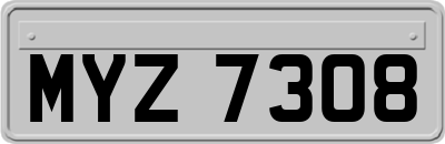 MYZ7308