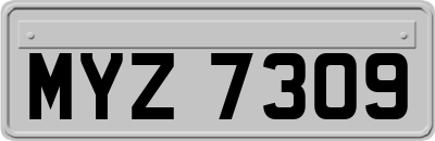 MYZ7309