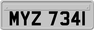 MYZ7341