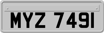 MYZ7491