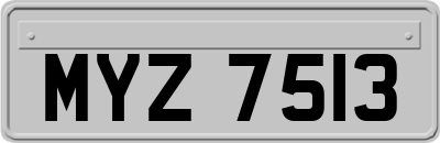 MYZ7513