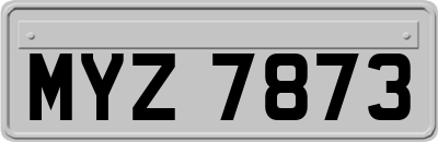MYZ7873