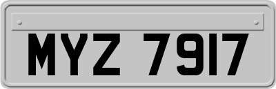 MYZ7917