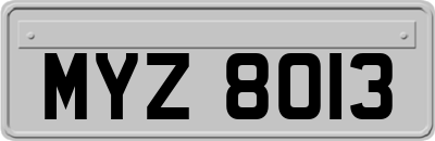 MYZ8013