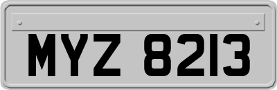 MYZ8213