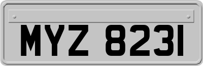 MYZ8231