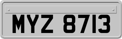MYZ8713