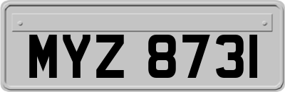 MYZ8731