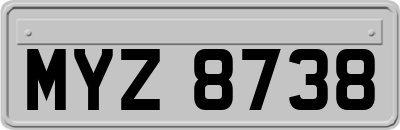 MYZ8738
