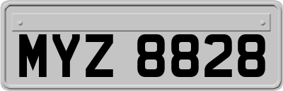 MYZ8828