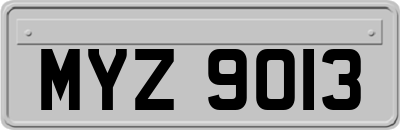 MYZ9013