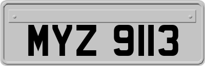 MYZ9113