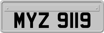 MYZ9119